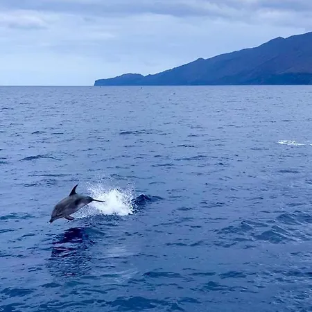Casa Esteban Y Facunda Feriehus Valverde (El Hierro)