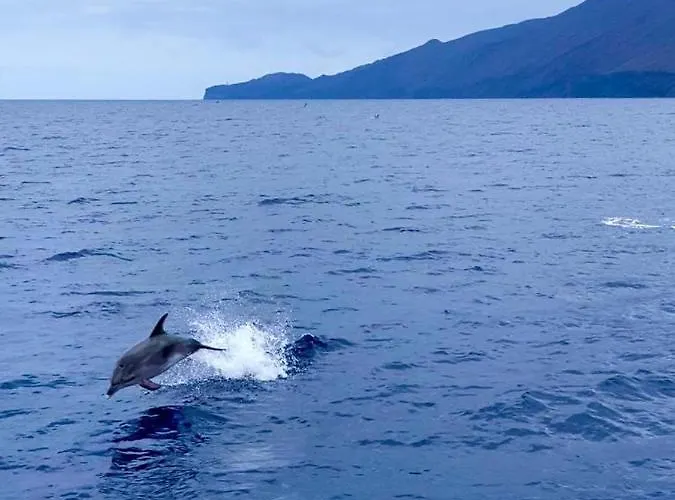 Casa Esteban Y Facunda Casa de Férias Valverde (El Hierro)